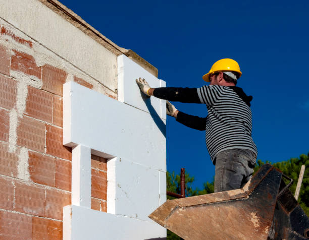 Best Insulation Replacement Services  in North Bend, NE