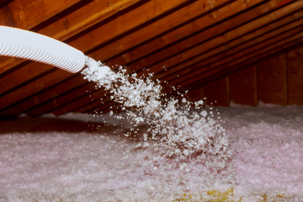 Best Energy-efficient Insulation  in North Bend, NE