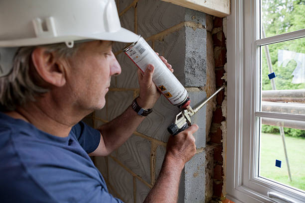 Best Home Insulation Services  in North Bend, NE