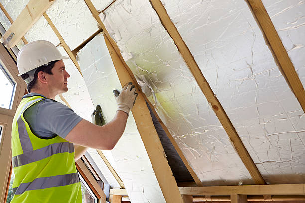 Best Insulation Removal  in North Bend, NE