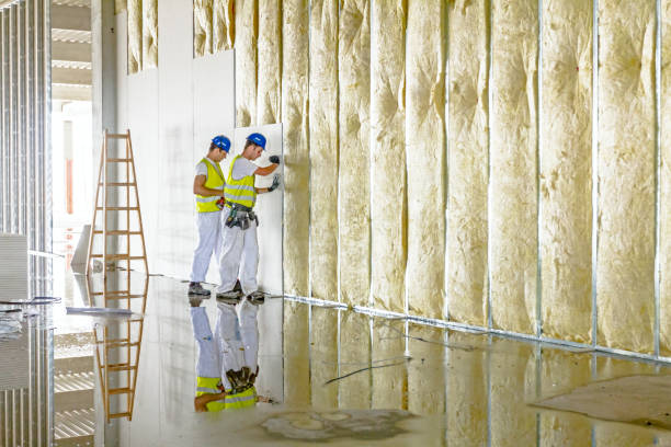 Insulation Repair Services in North Bend, NE